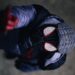 Campaign Initiated by Spider-Man Enthusiasts to Preserve the Integrity of the Spider-Verse