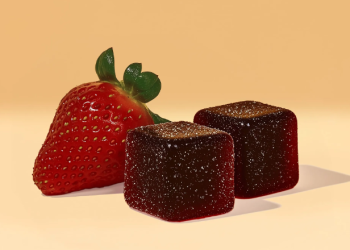 Exploring Mood: A Comprehensive Overview