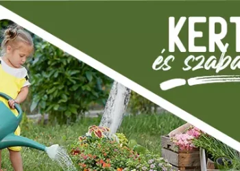 Miért válassza a Merkury Marketet: A legjobb termékek építkezéshez, bútorozáshoz és kertészkedéshez